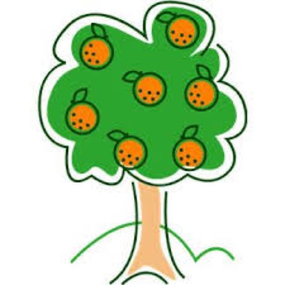 Meet your Posher, Citrus Tree