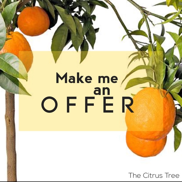 Meet your Posher, Citrus Tree - Picture 2 of 2