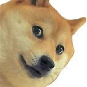 Meet your Posher, Priscilla