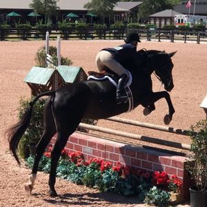 Meet your Posher, Grace