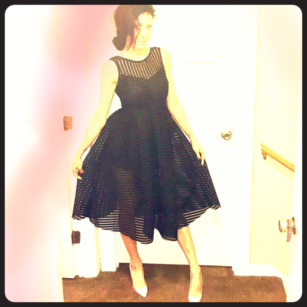 Vintage never worn mesh layer dress w/ short slip