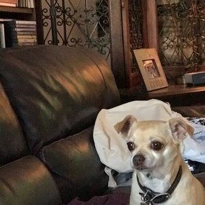 Meet your Posher, Paulina