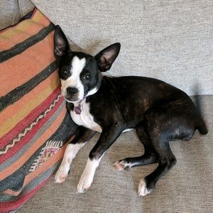 Meet your Posher, Caitlin