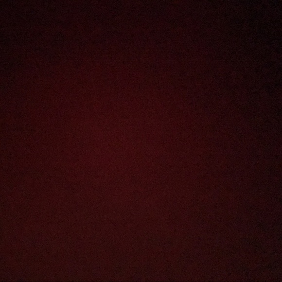 Meet your Posher, Joey - Picture 1 of 1