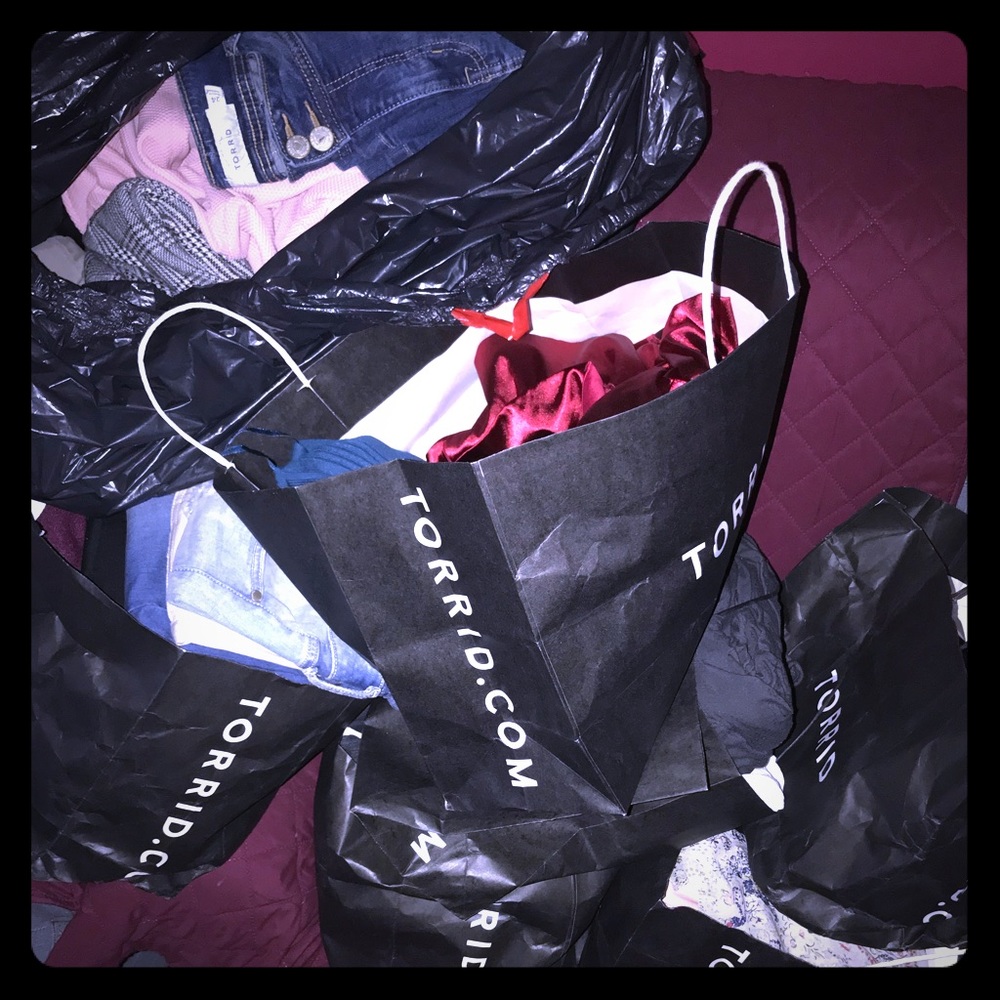 Bags of plus size clothes Torrid & Lane Bryant