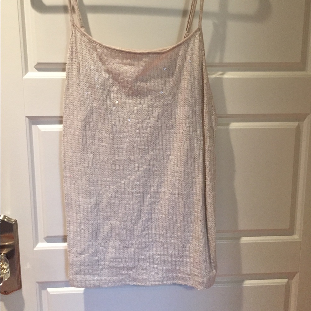 Loft sequin camisole