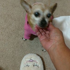 Meet your Posher, Jeanne