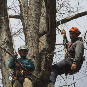 Meet your Posher, Ashlyn