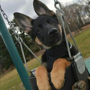 Meet your Posher, Seok