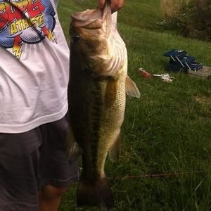 Meet your Posher, Hunter