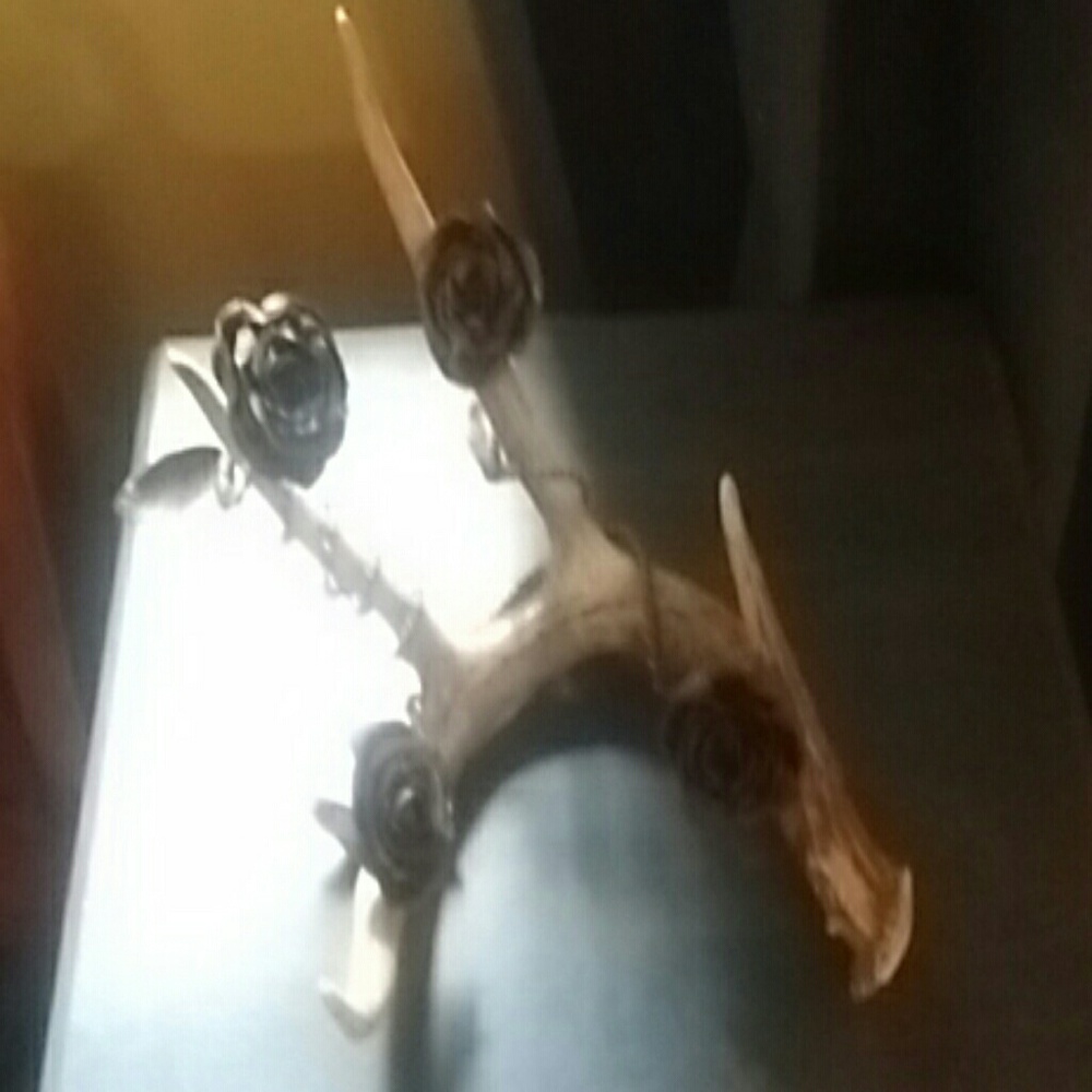 Deer antlers wrapped in stainless steel roses