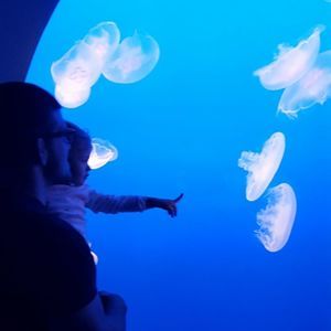 Meet your Posher, Adam