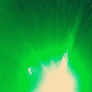 Meet your Posher, Keenan