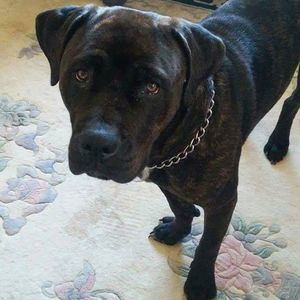 Meet your Posher, Stevie