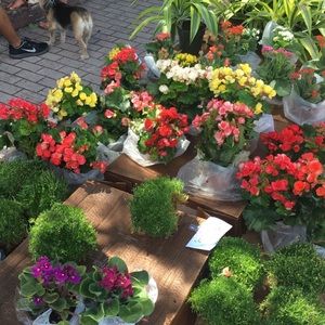 Meet your Posher, Tairine