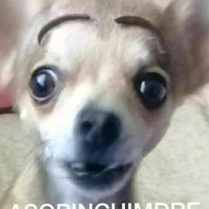 Meet your Posher, Delia