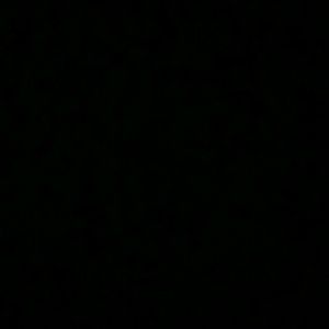 Meet your Posher, Chad