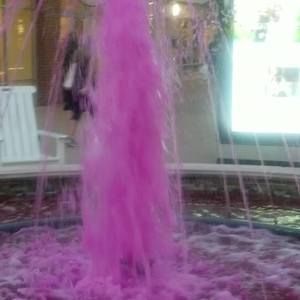 Meet your Posher, Lynnette