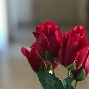 Meet your Posher, Luis