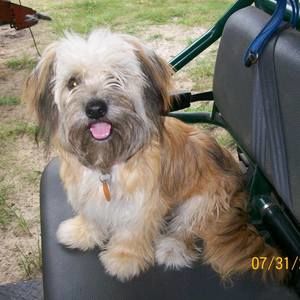 Meet your Posher, Pat