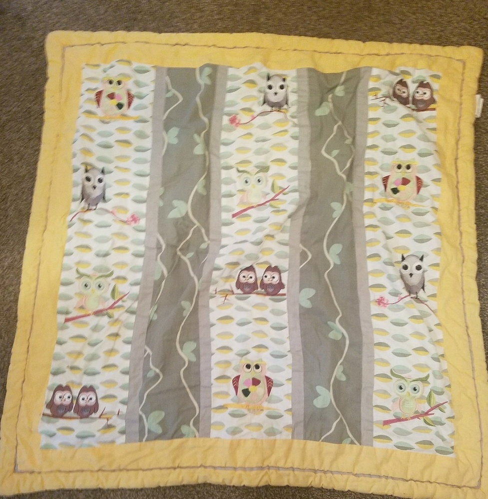 Embroidered Owl Crib Blanket