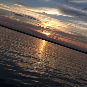 Meet your Posher, Ashlyn