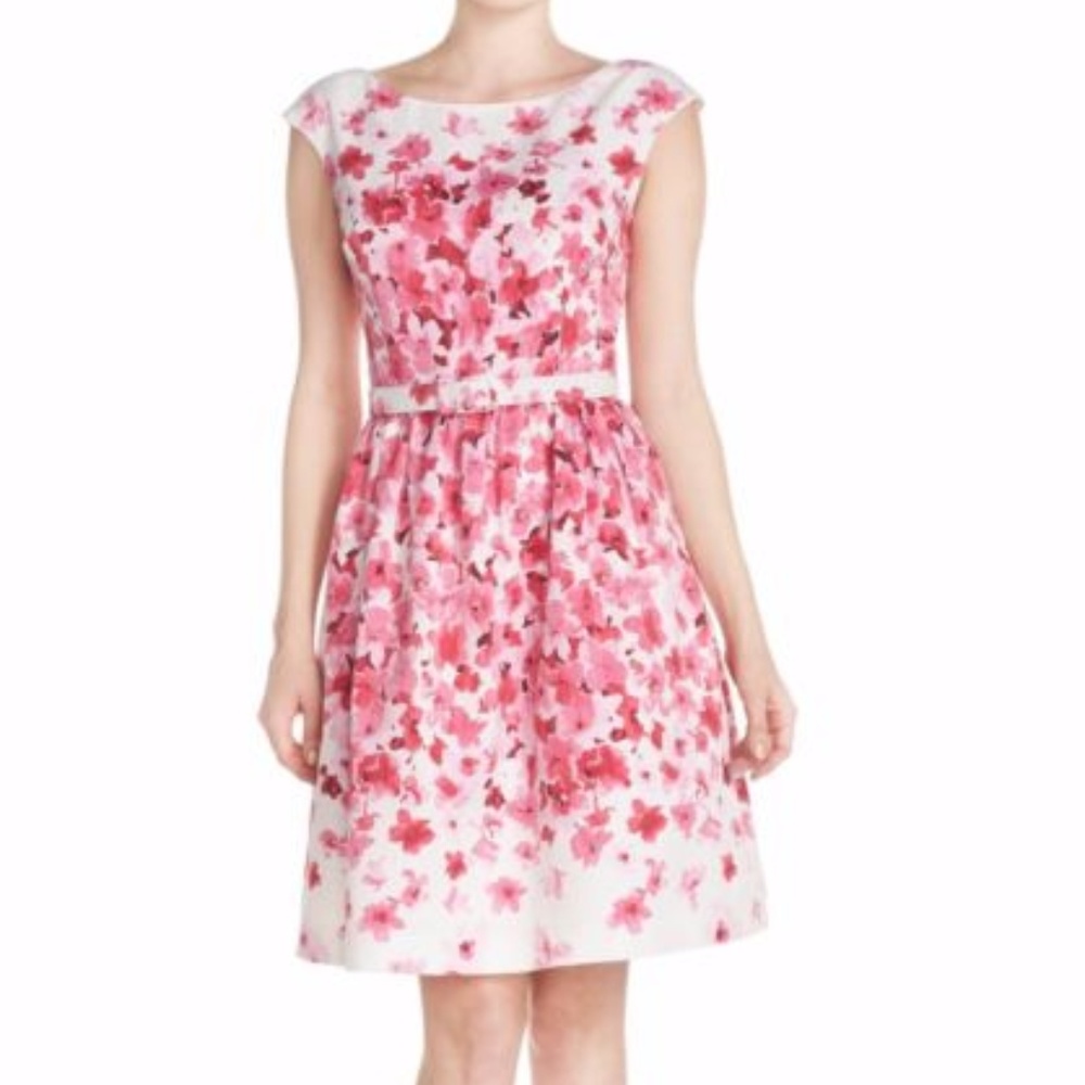 NWT Eliza J Belted Floral Dress
