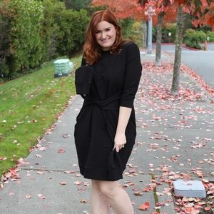 universal standard sweatshirt dress