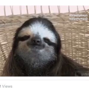 Meet your Posher, Dalia