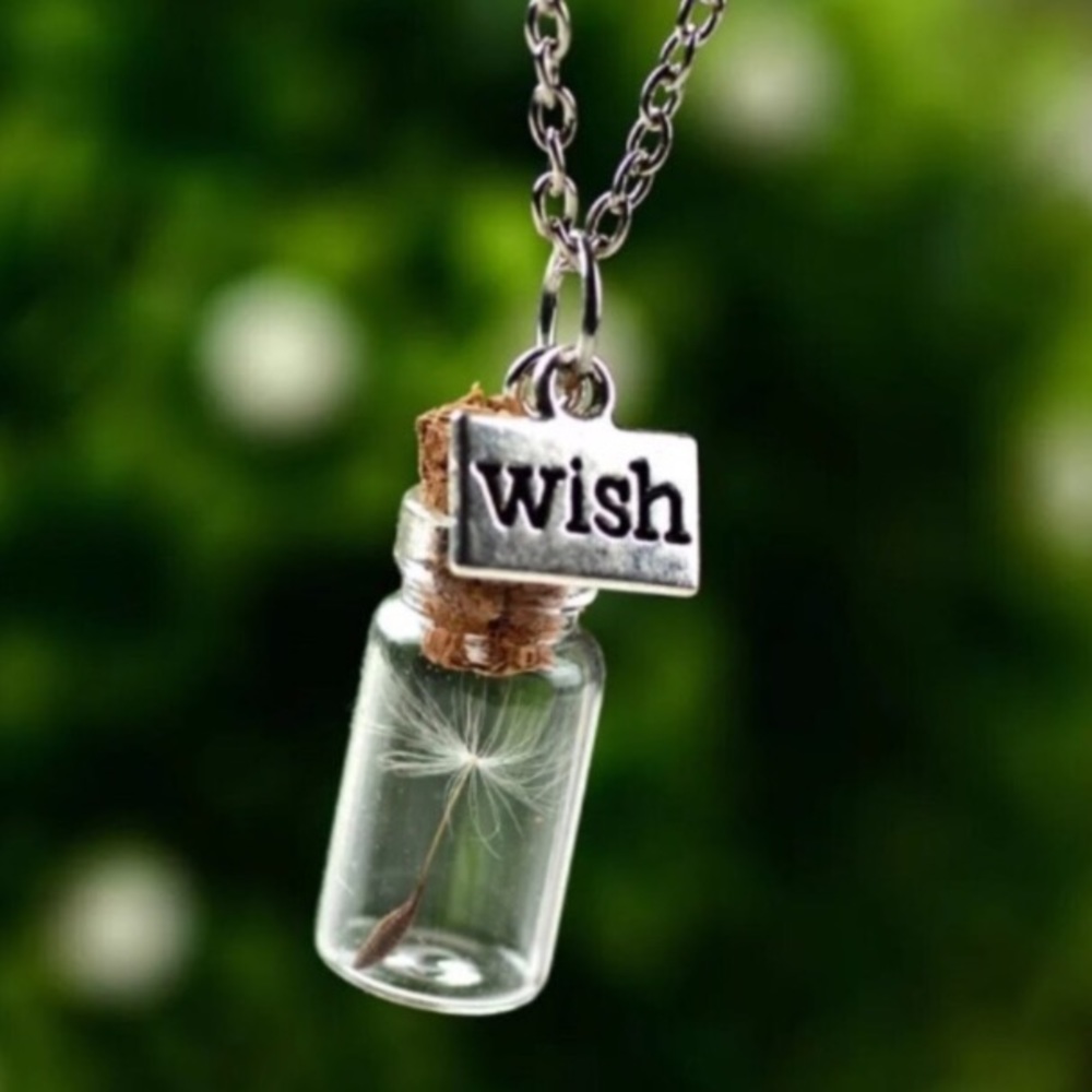 🚨2 left 🆕Dandelion in drifting bottle necklace