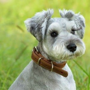 Meet your Posher, Ericka