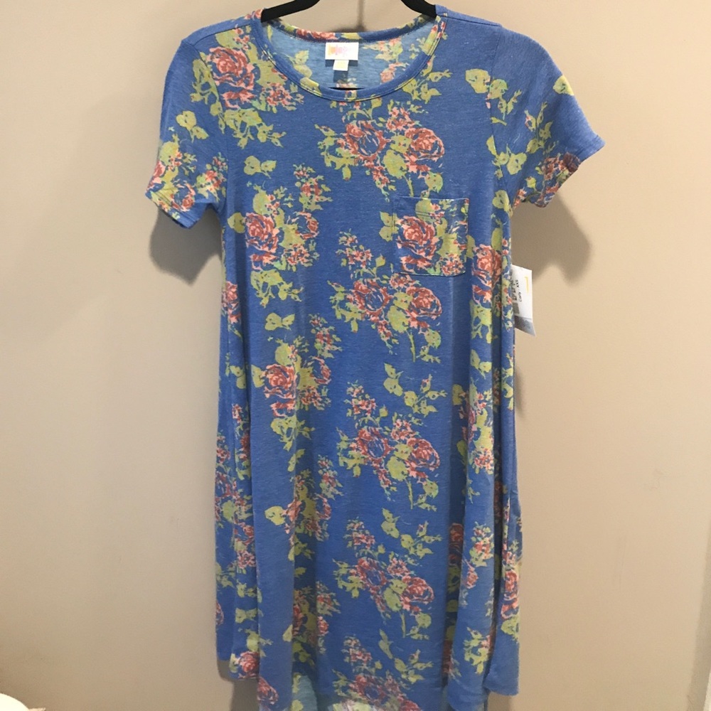 Brand NEW Lularoe Carly Dress XXS
