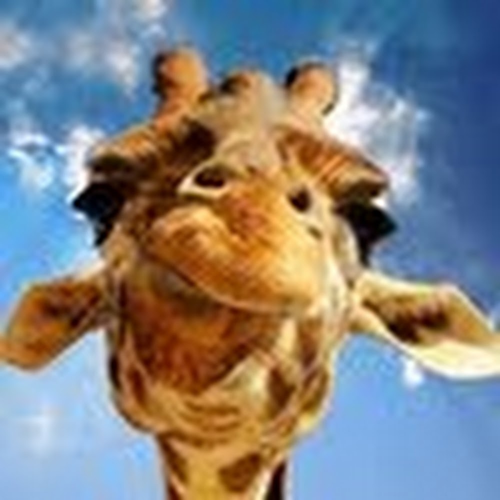 Meet your Posher, Ashleigh