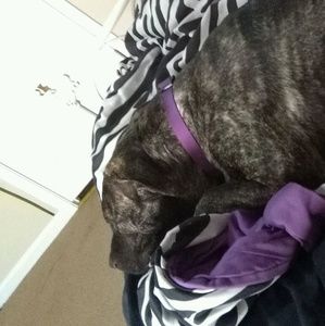 Meet your Posher, Madison