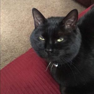 Meet your Posher, Kim