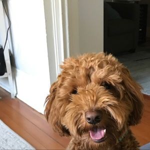 Meet your Posher, Kate