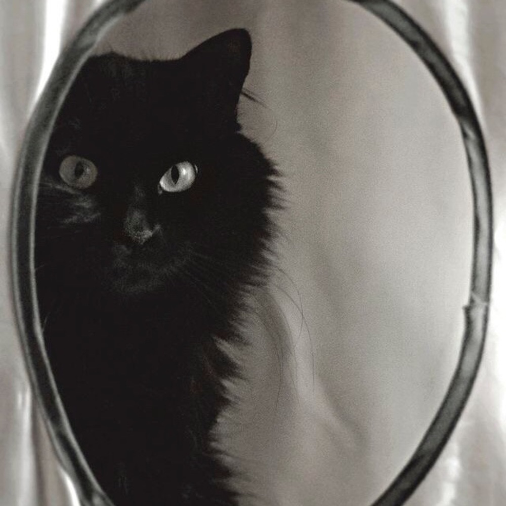 Meet your Posher, Melinda