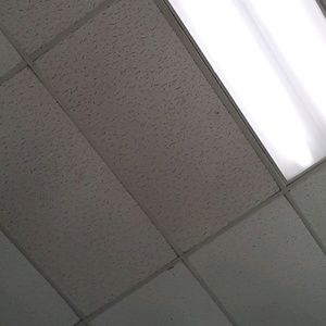 Meet your Posher, Norma