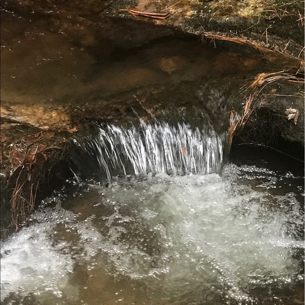 Meet your Posher, Catherine