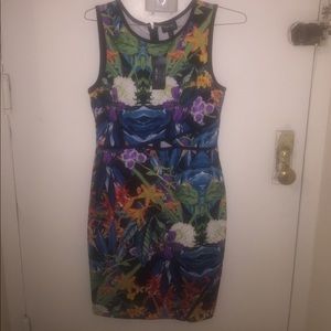 Nicole Miller Dress