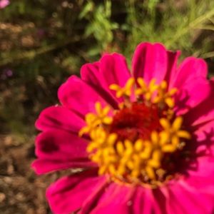 Meet your Posher, Morgan