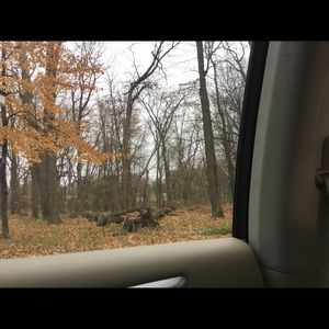 Meet your Posher, Jen