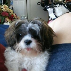 Meet your Posher, Cheryl