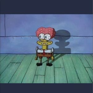 Meet your Posher, Lily