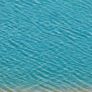 Meet your Posher, Emilie