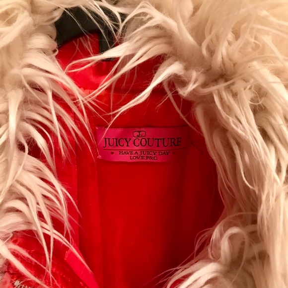 Chic Juicy Couture Winter Coat - Picture 5 of 5