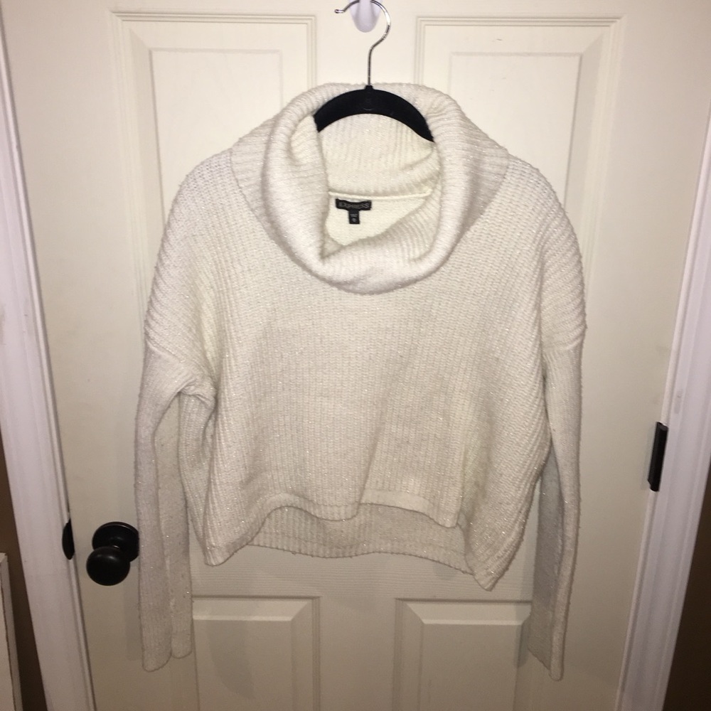 Cropped Turtleneck Wool Sweater