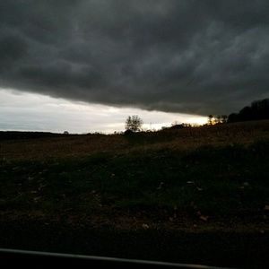 Meet your Posher, Krystal