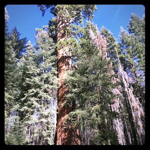 Meet your Posher, Lupiita