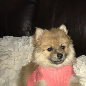 Meet your Posher, Ildemar